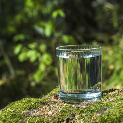 Sauberes Trinkwasser für Tier und Mensch
