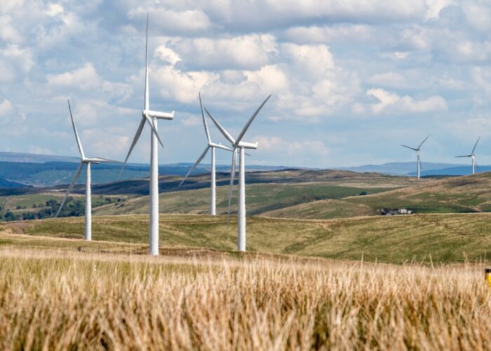 Windräder stehen auf einer Wiese - blauer Himmel und Wolken sind zu sehen