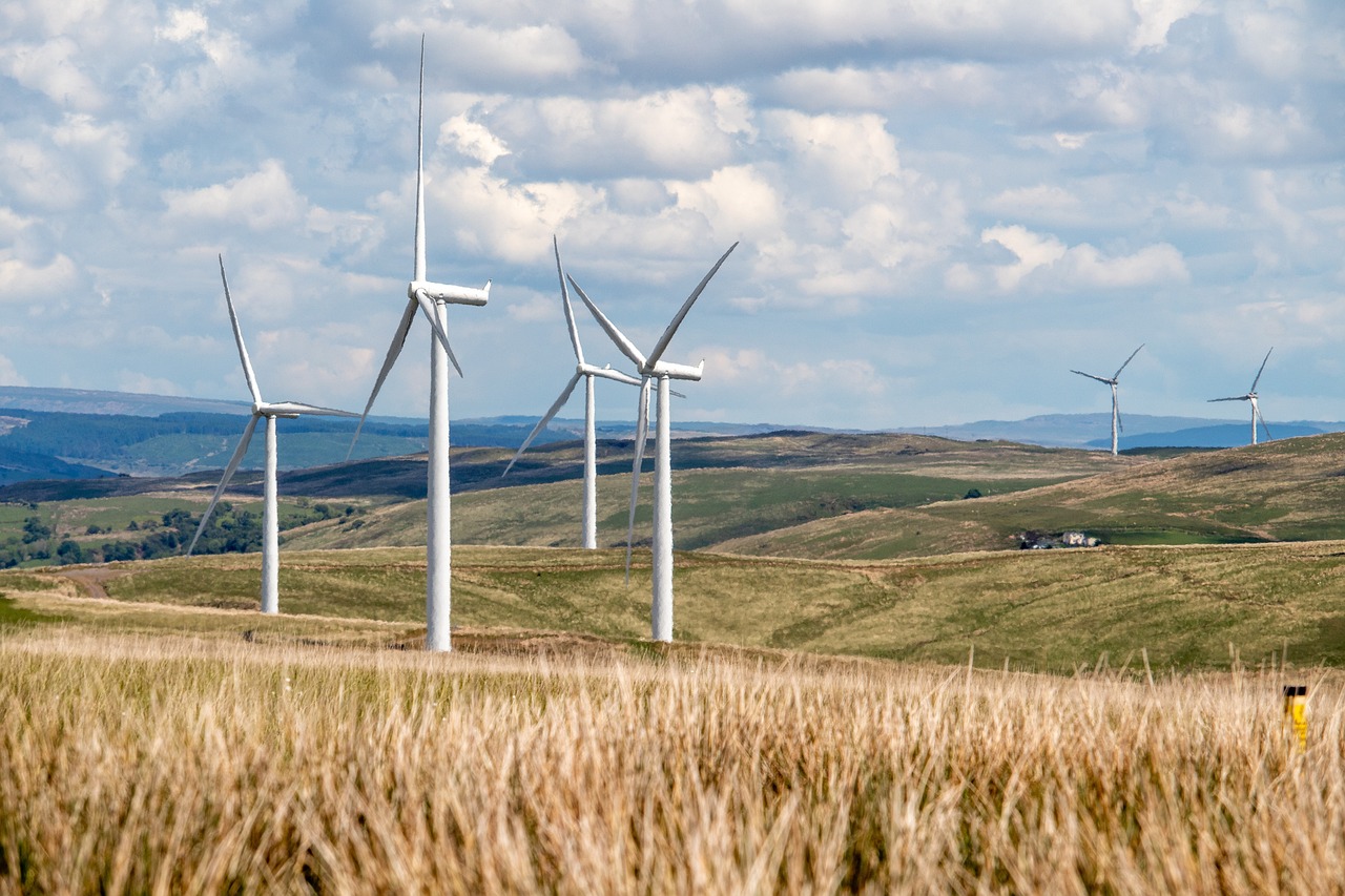 Windräder stehen auf einer Wiese - blauer Himmel und Wolken sind zu sehen